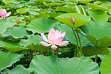 恐怖游戏《闭店事件》现已在Steam平台发售 支持中文